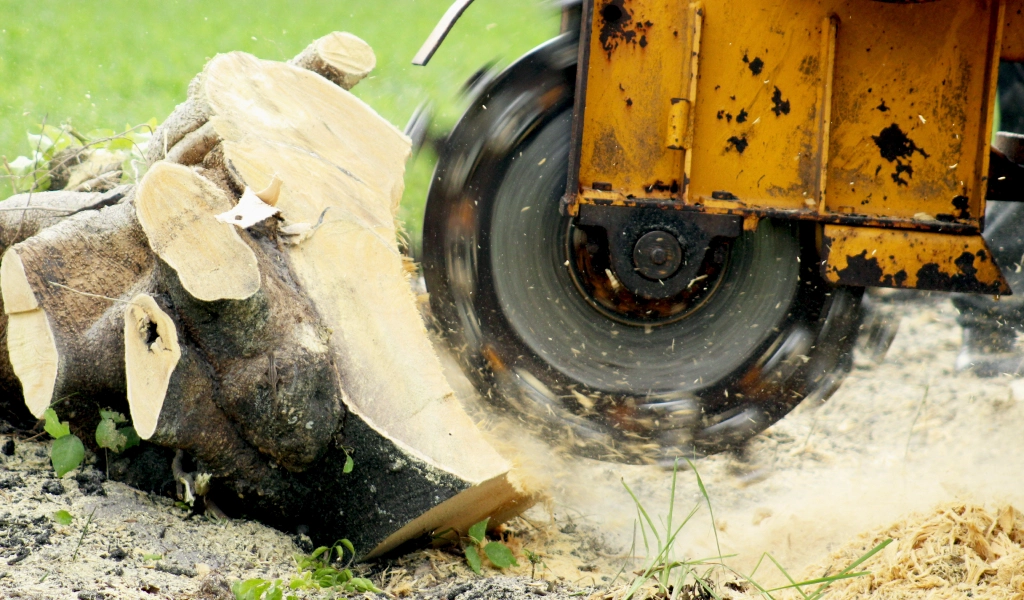Stump Grinding Nashville