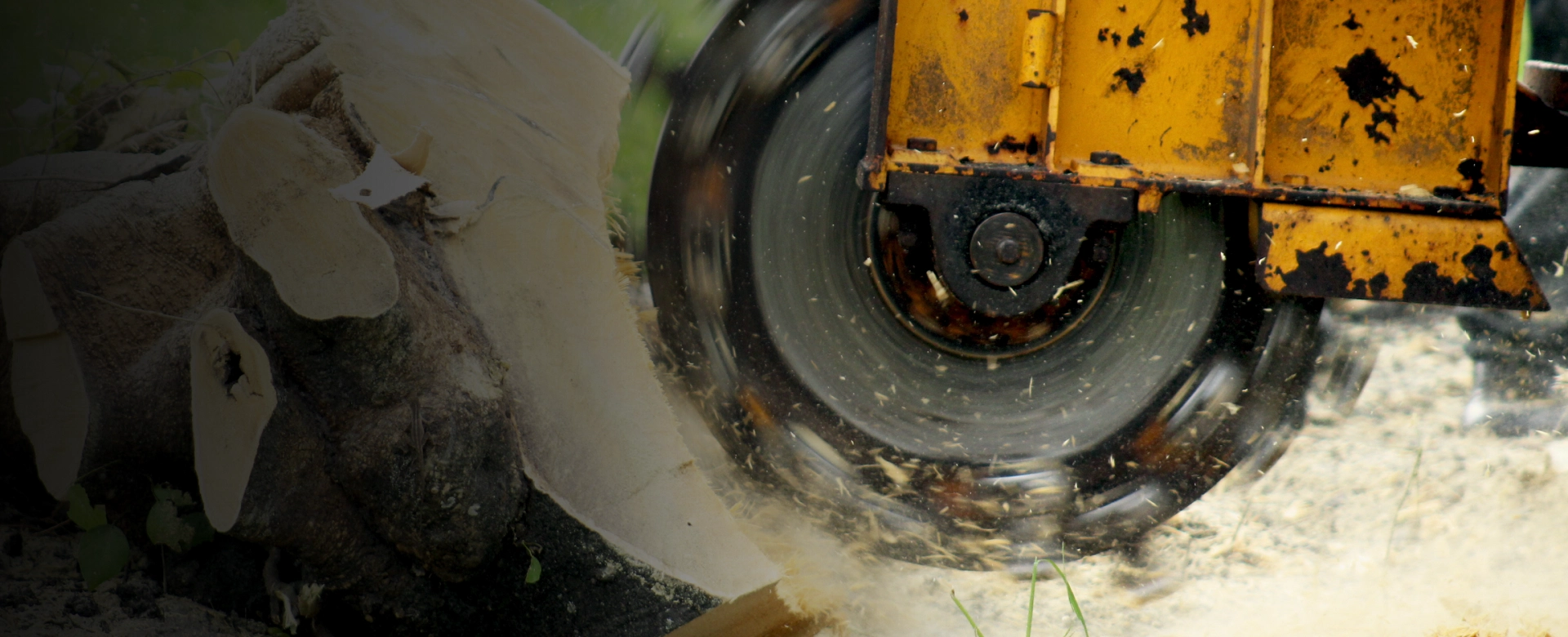Stump Grinding Nashville