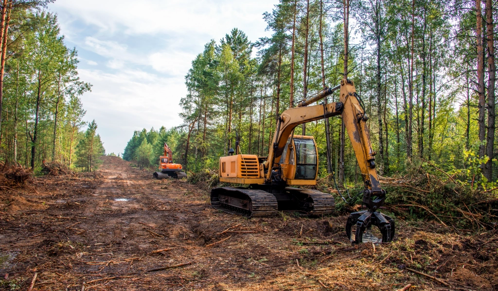 Land Clearing Nashville