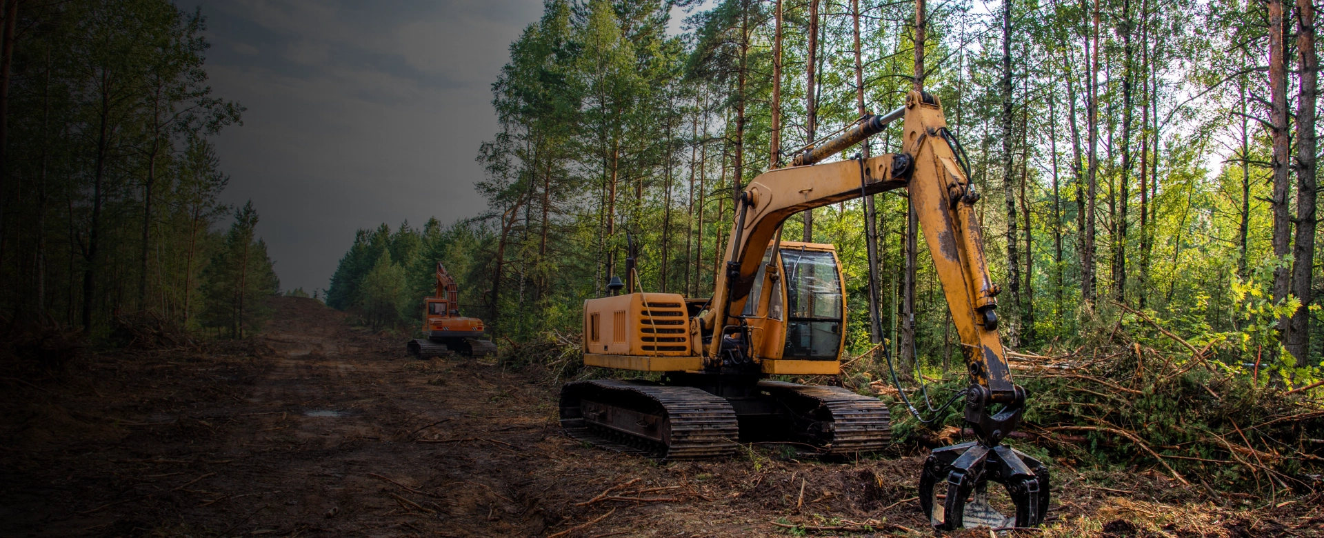 Land Clearing Nashville
