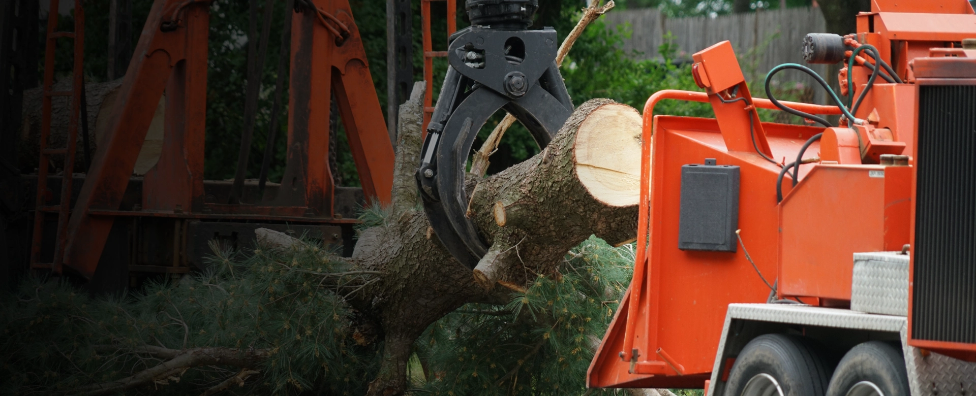 Emergency Tree Services