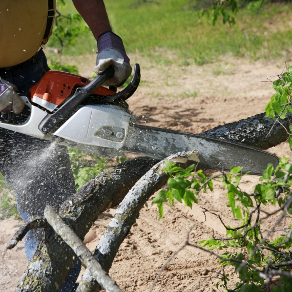 Tree Service Goodlettsville