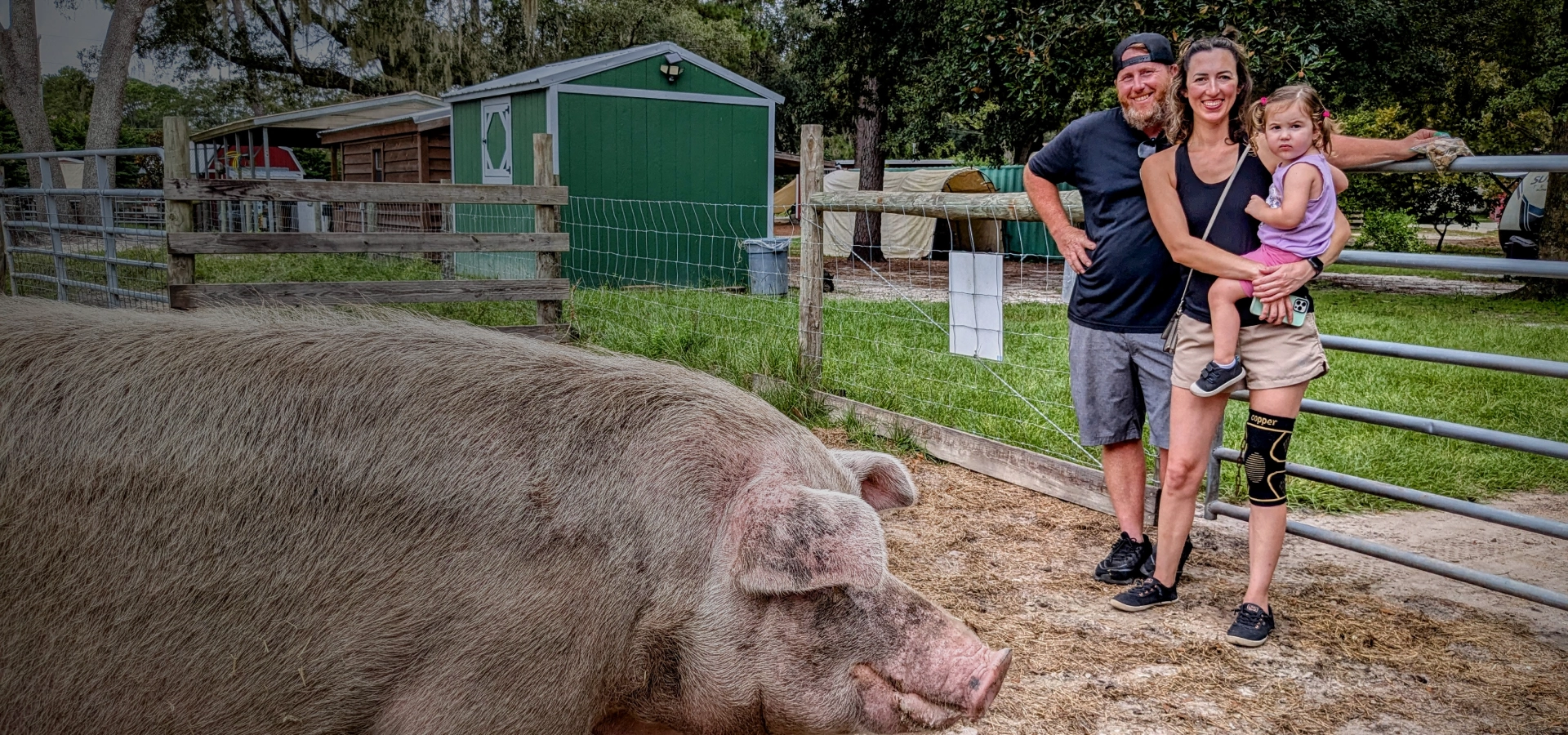 Farm Stay With Animals