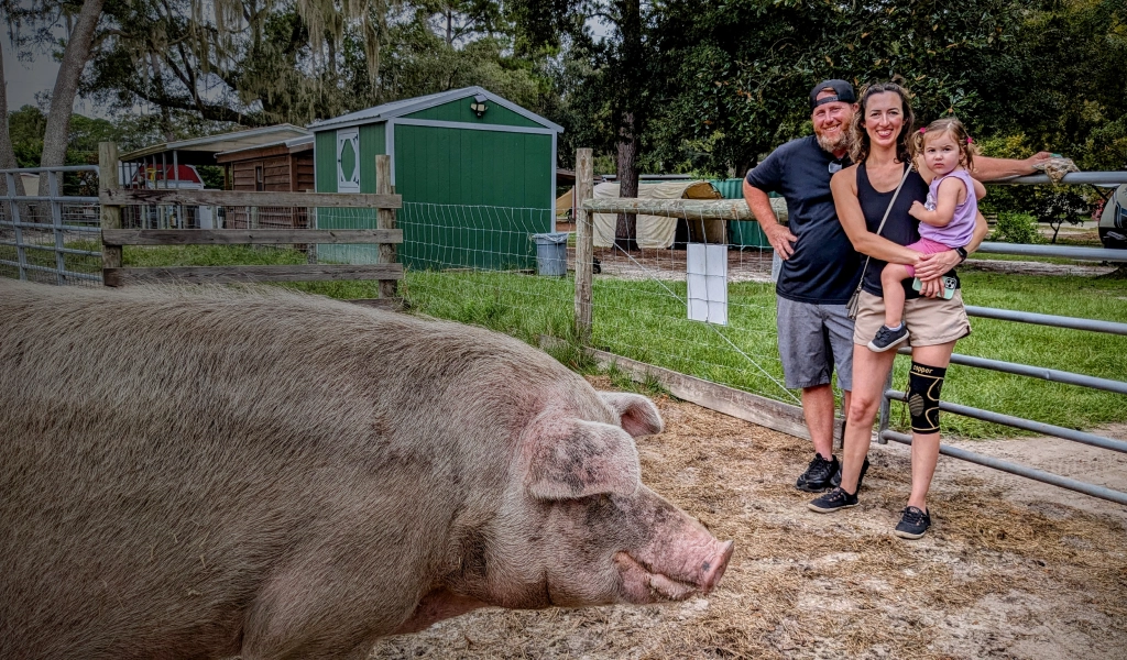 Farm Stay With Animals