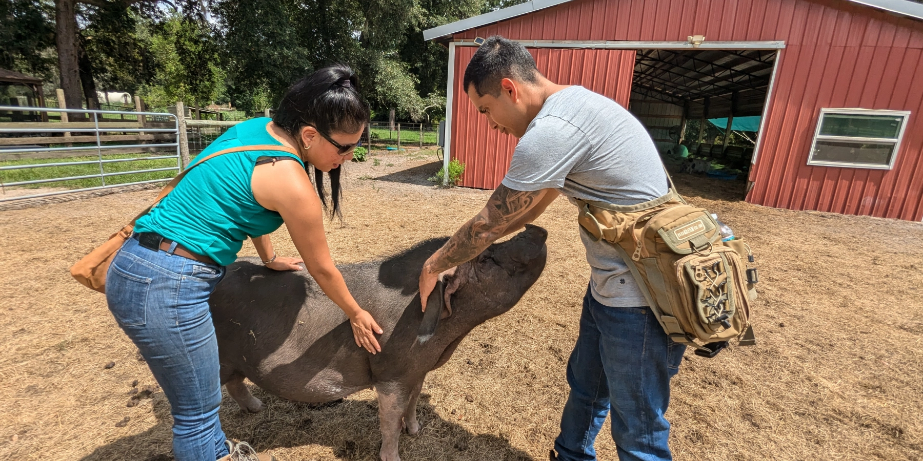Animal Sanctuary Near Gainesville FL