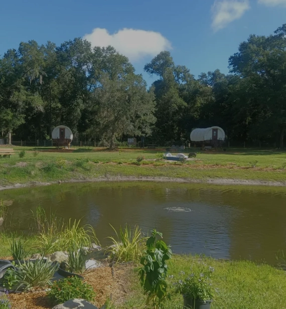 unique experiences Florida