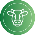 Rescued Animal Sanctuary