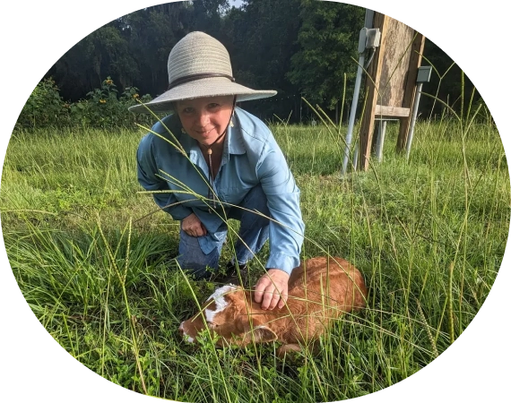 Nonprofit Animal Sanctuary