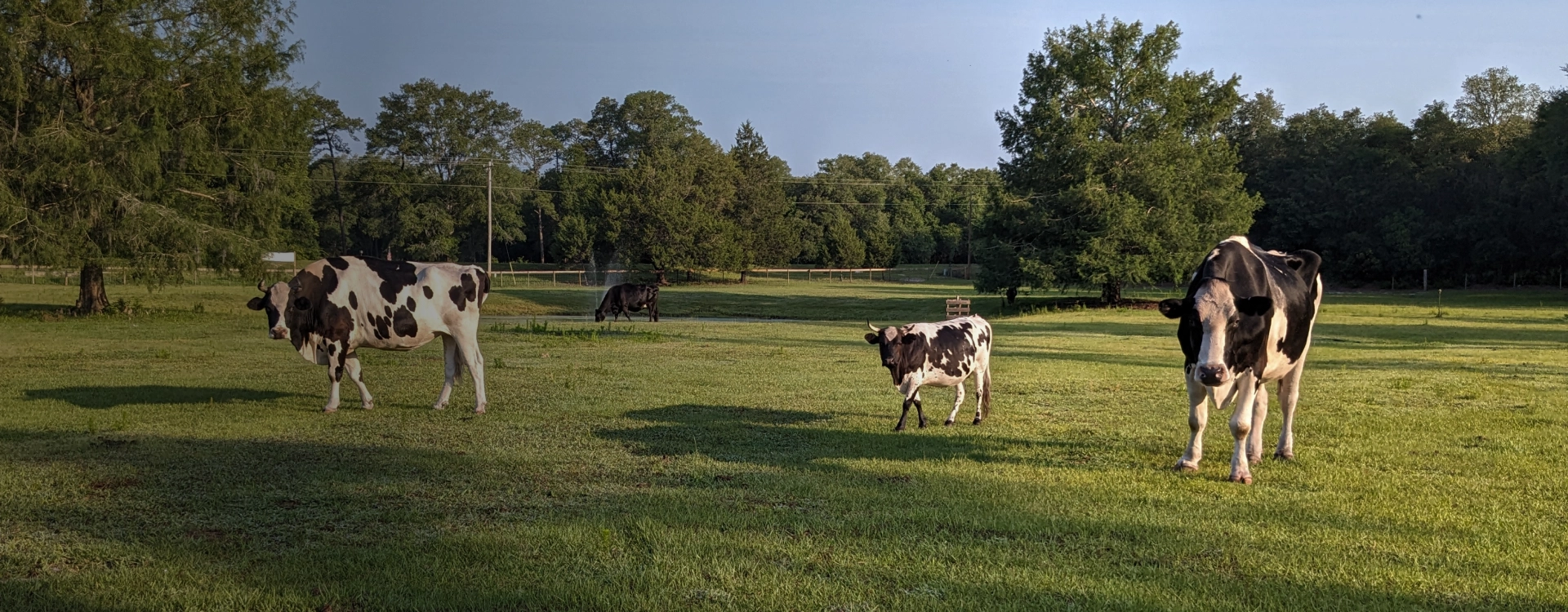 Animal Sanctuary Florida