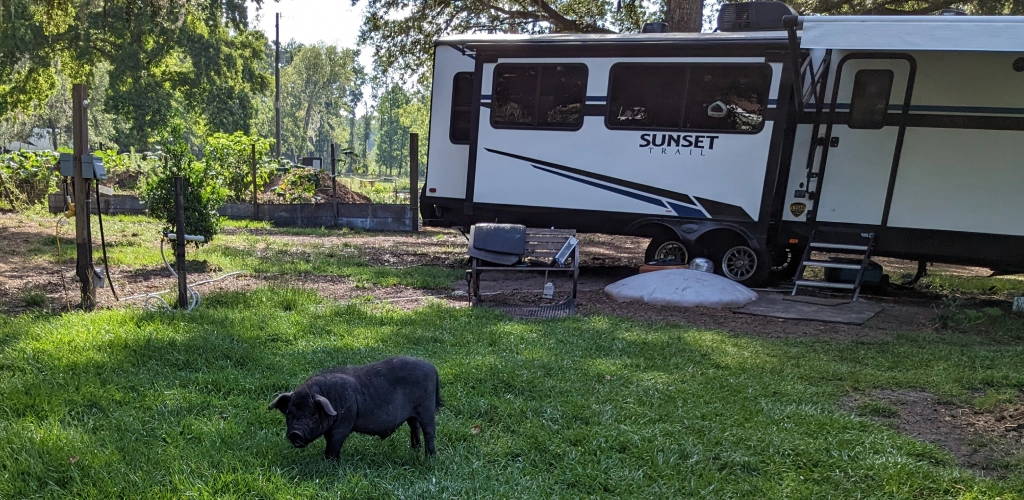RV Camping Near Gainesville FL