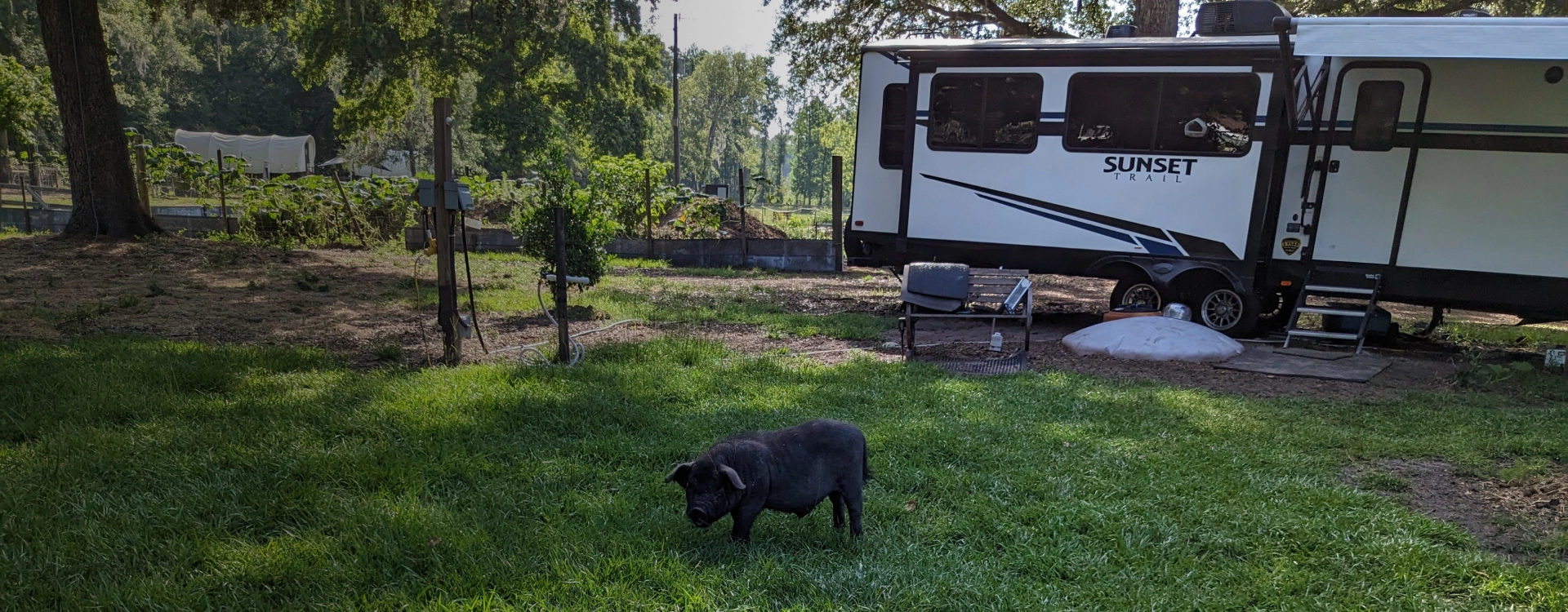 RV Camping Near Gainesville FL