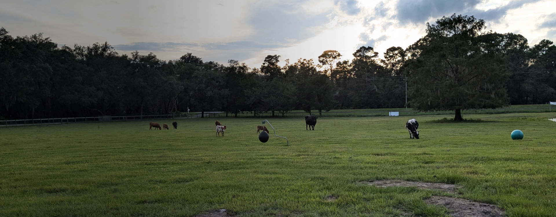 Tent Camping Near Gainesville FL