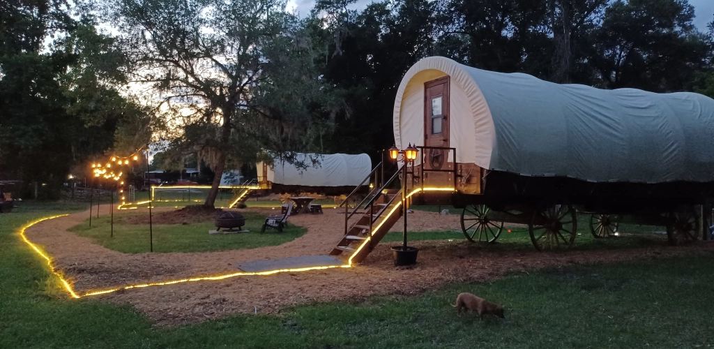 Animal Sanctuary Wedding
