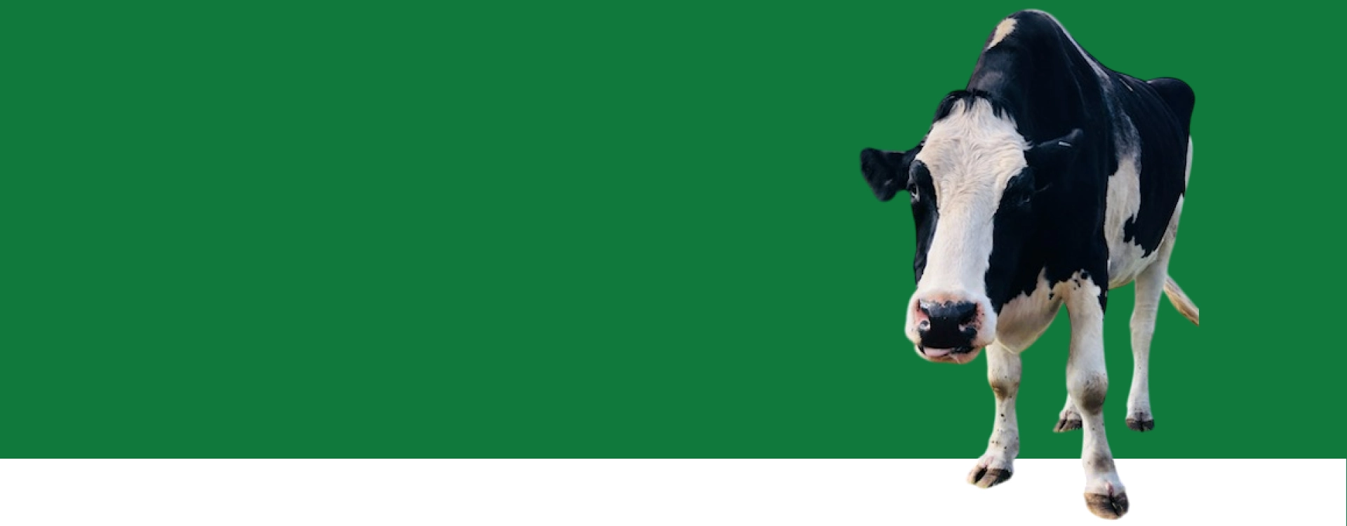 farm stay FAQ