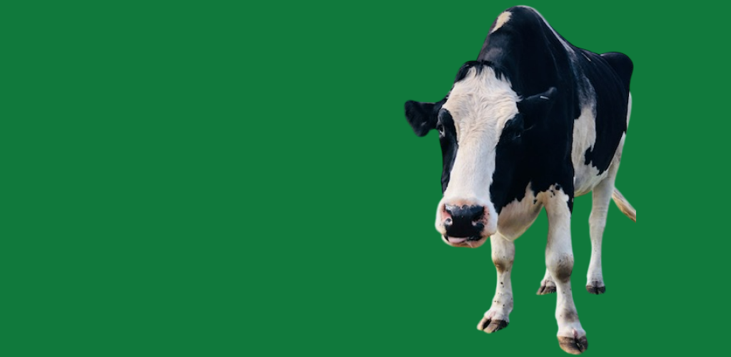 farm stay FAQ