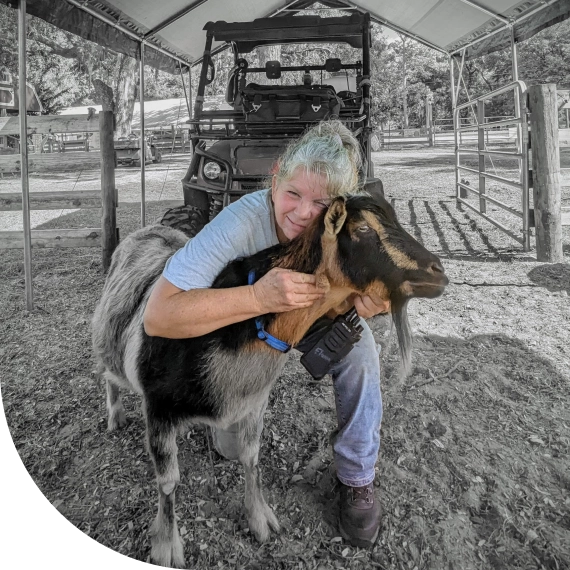 Farm Sanctuary Internships