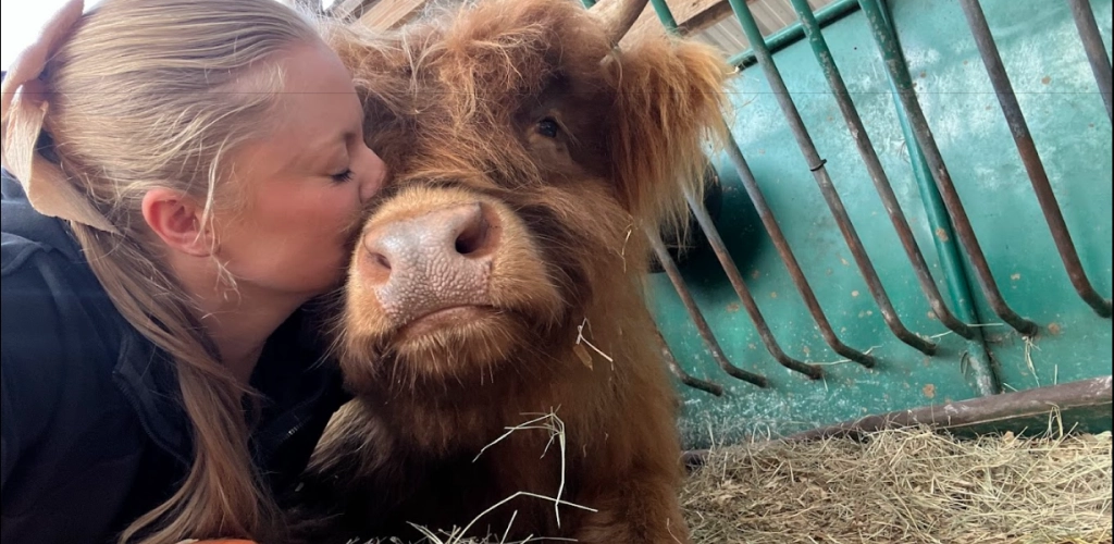 Animal Sanctuary Internships