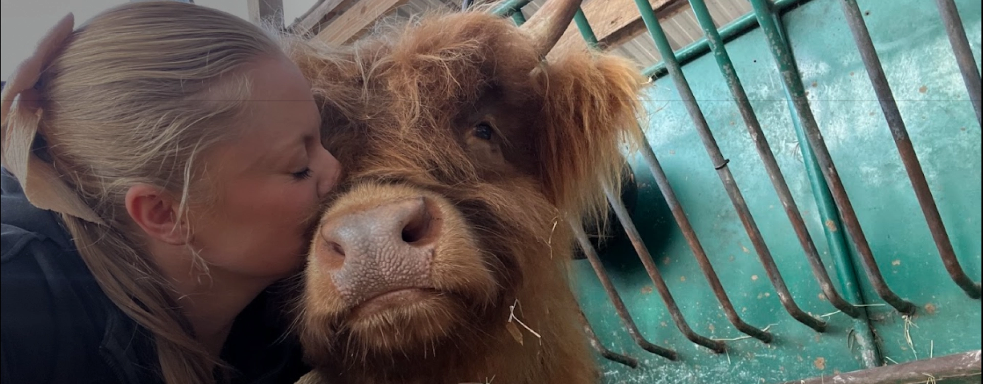 Animal Sanctuary Internships