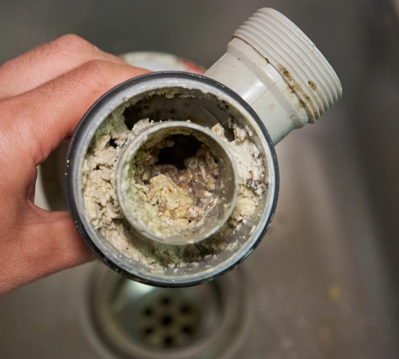 Clogged Sewer Line Repair