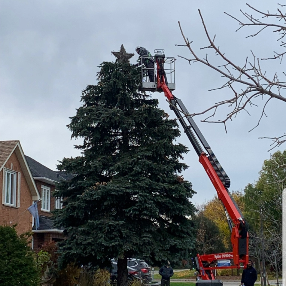 Quality landscaping services