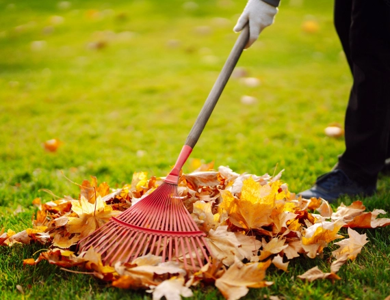 Property Cleanup and Mulching