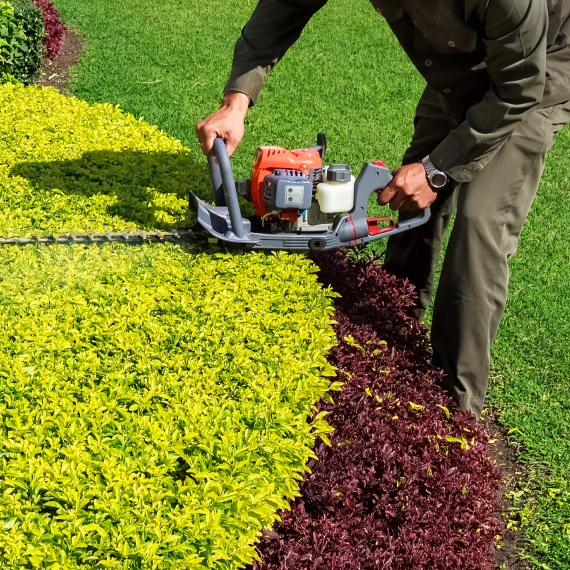Hedge Trimming Services