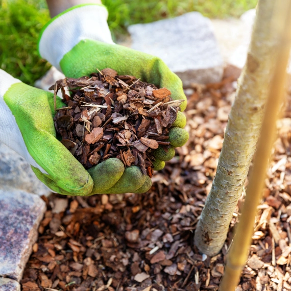 Tree Mulching Services