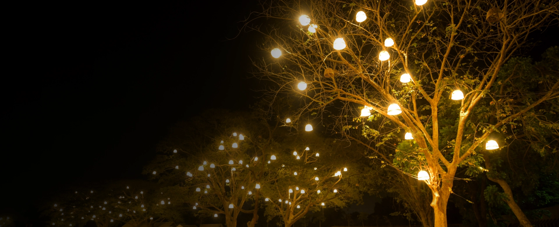 Tree Lighting Kingston