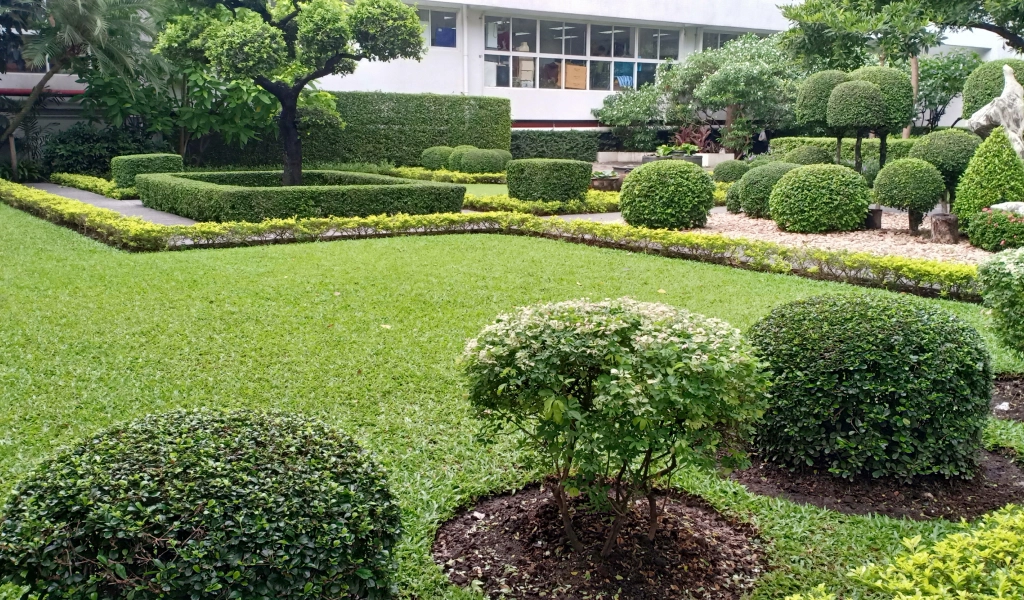 Commercial Landscaping Kingston