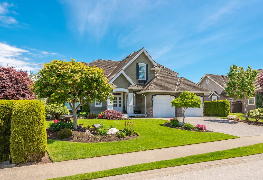 Kingston tree services