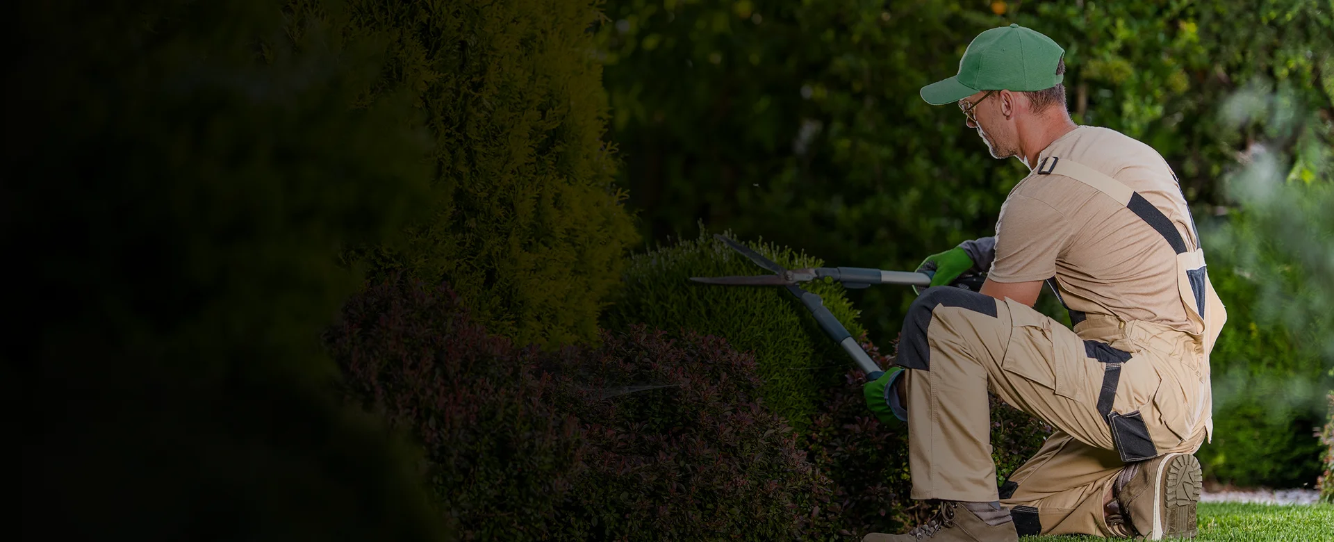Tree Services Kingston
