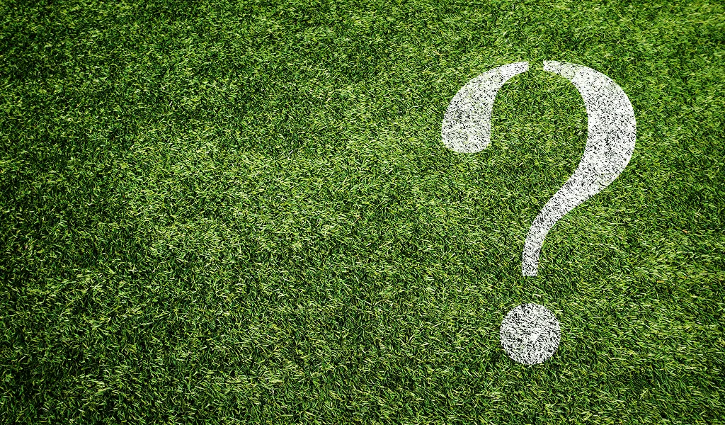Kingston landscaping FAQ