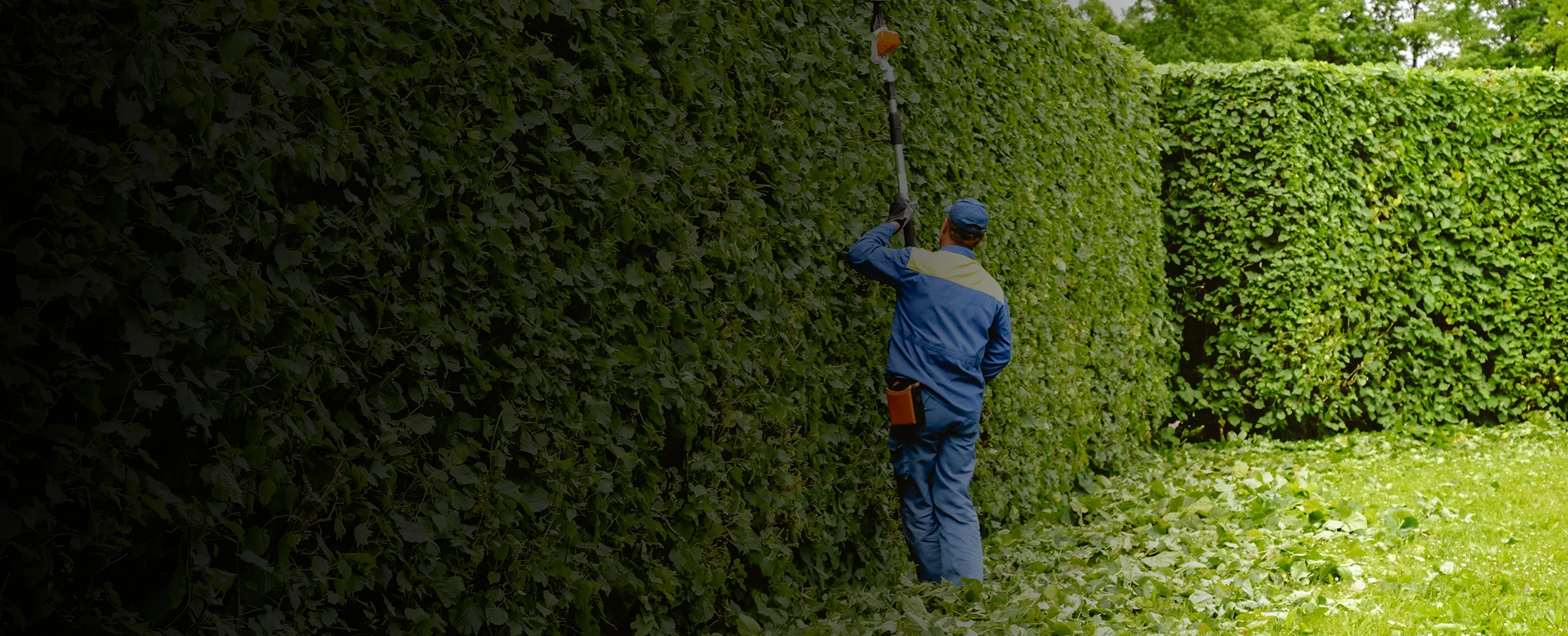 Kingston landscaping experts