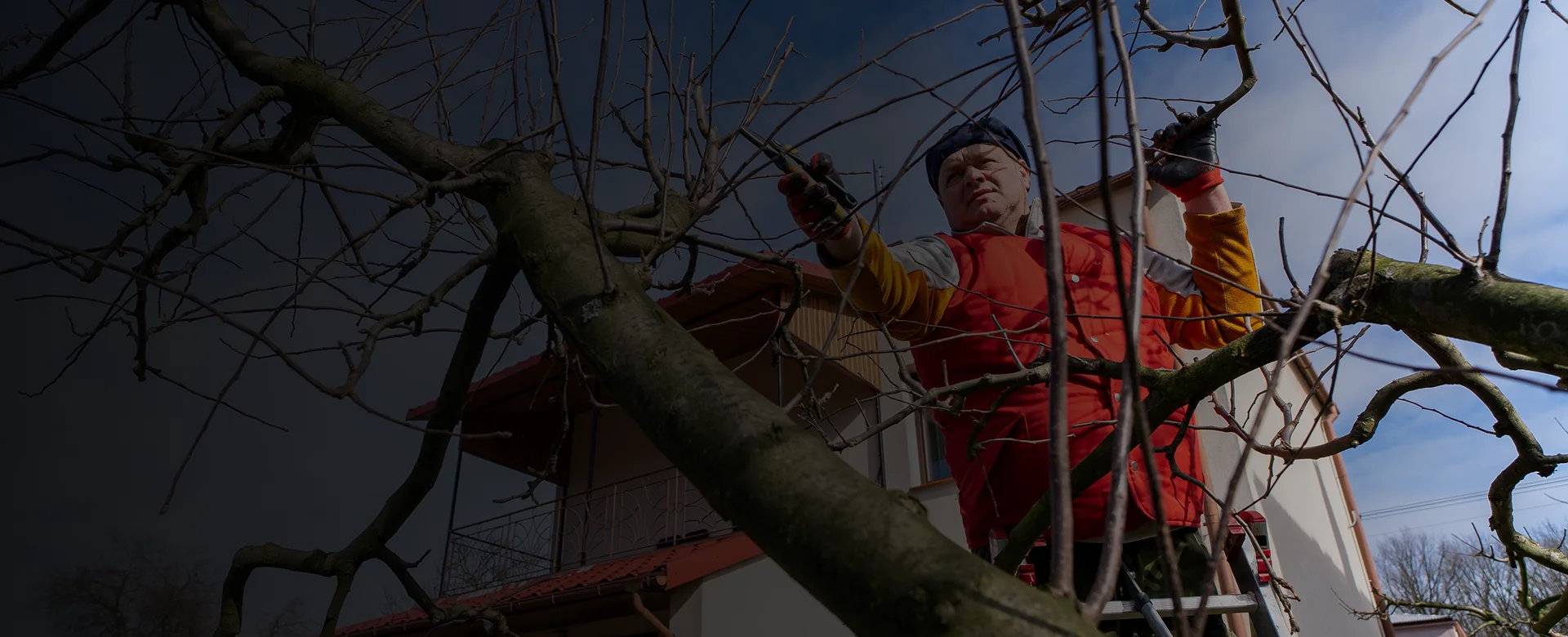  Tree Pruning Kingston