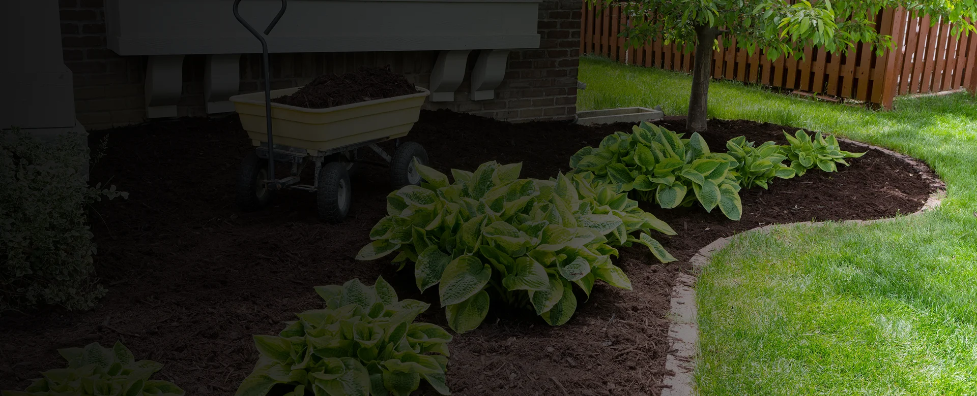 Yard Cleanup Services