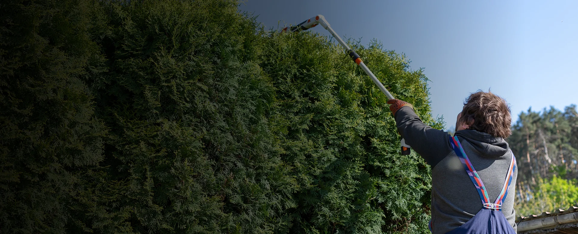  Hedge Pruning Services