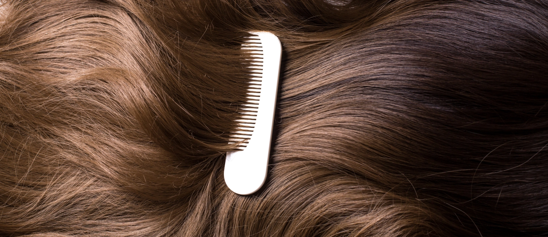 Premium Wig Care & Accessories | Enhance Your Wig Experience