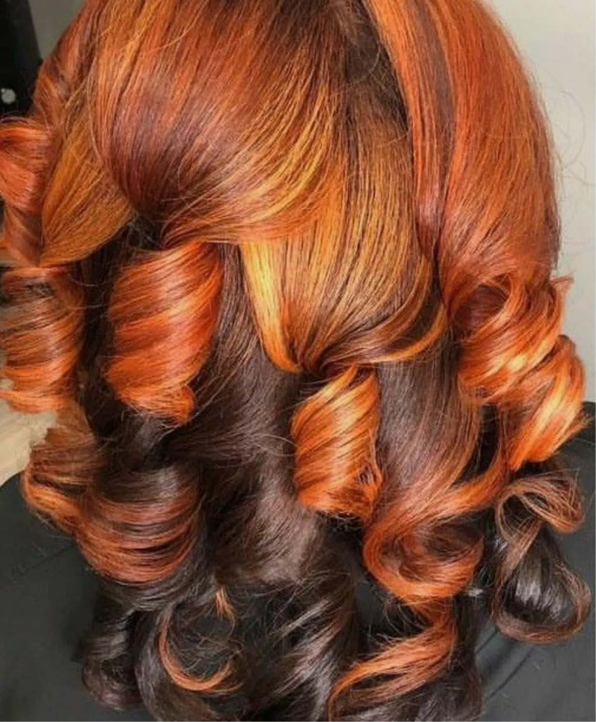  Wine curly lux