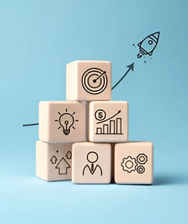 Saas Business Consultant