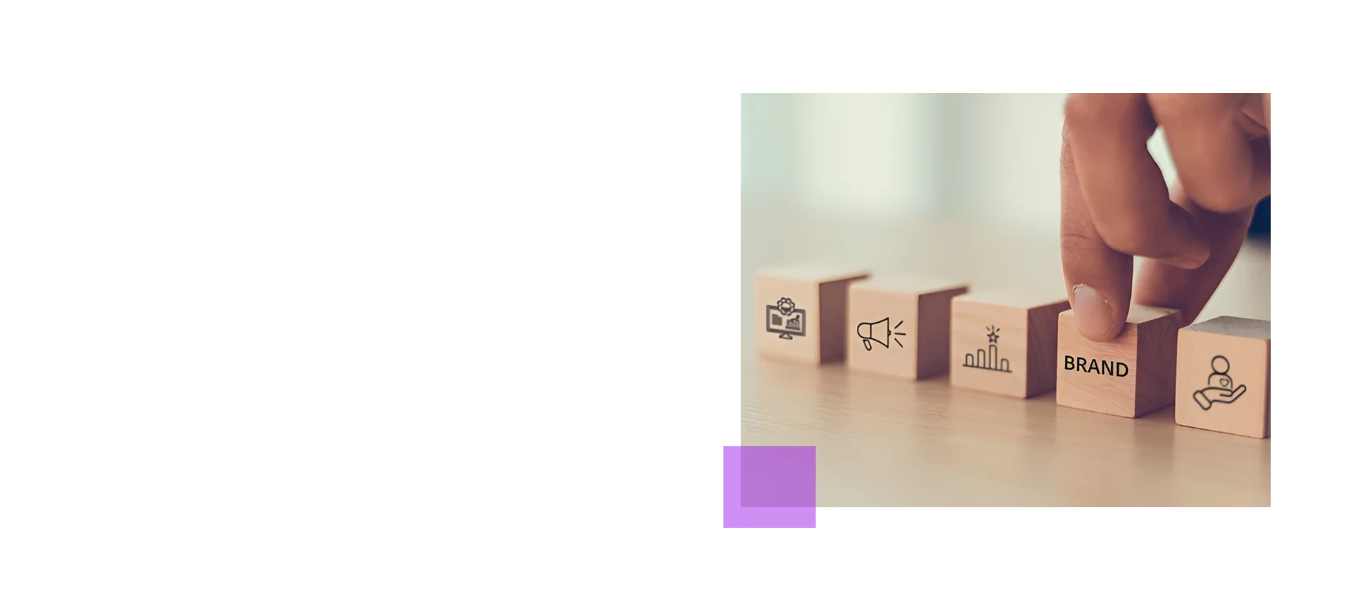 Brand Audit Services