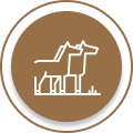Los Angeles equine services