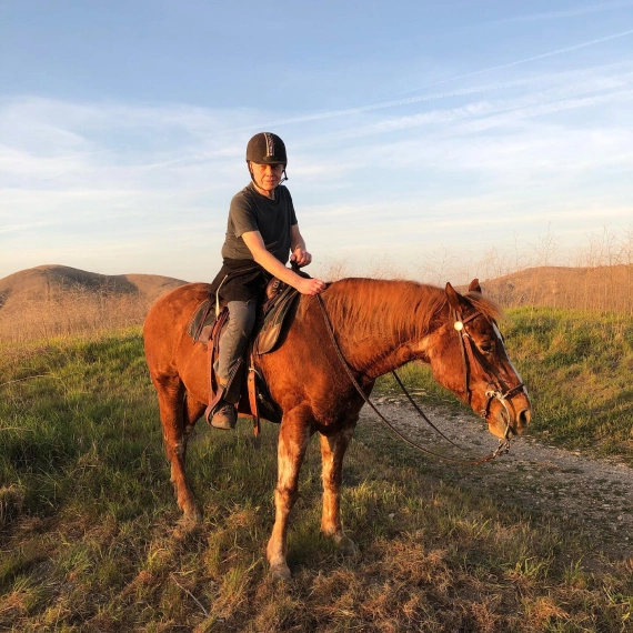 guided horse riding tours
