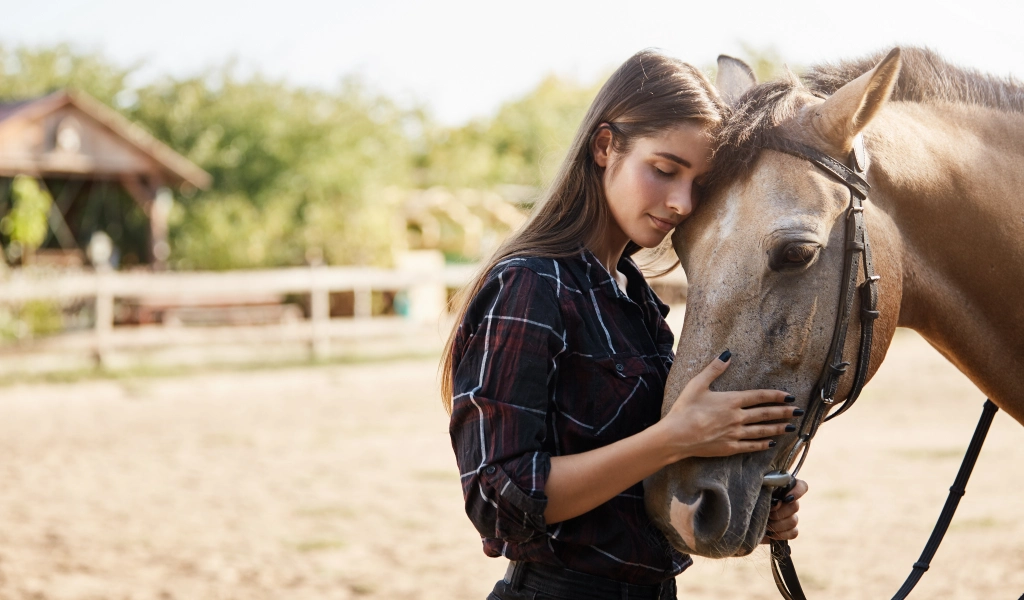 Equine Therapy Agoura Hills