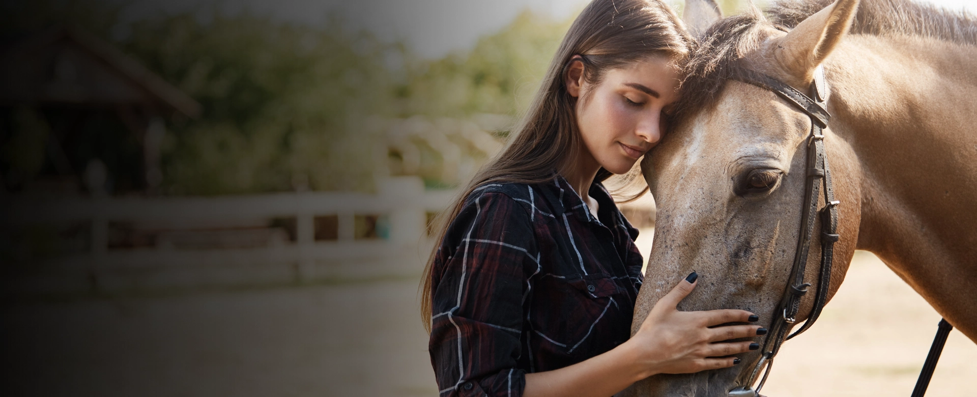 Equine Therapy Agoura Hills