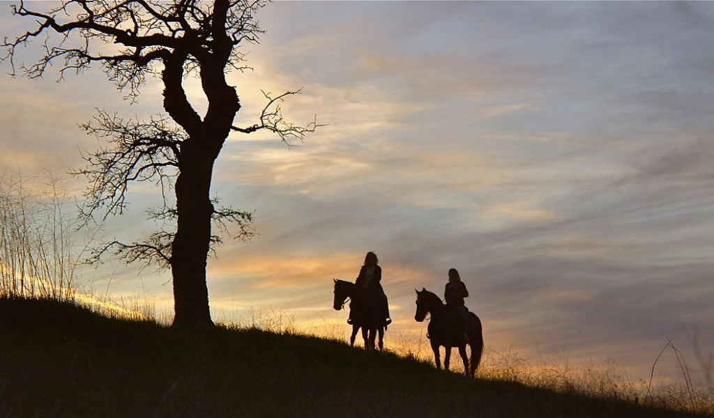 horseback riding FAQs