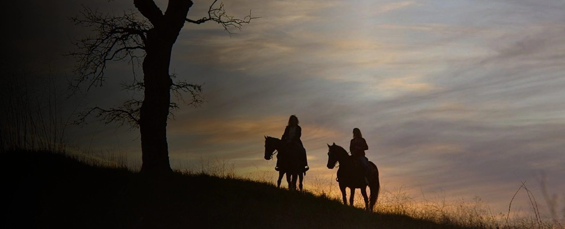 horseback riding FAQs
