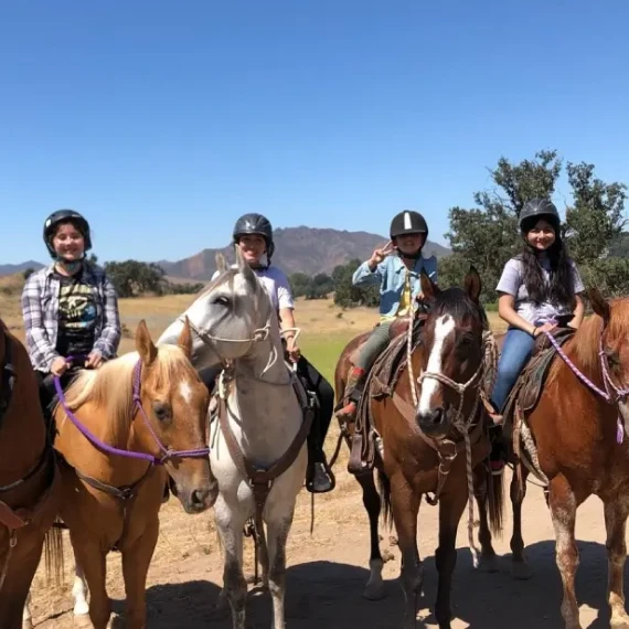 horse equine therapy near me​