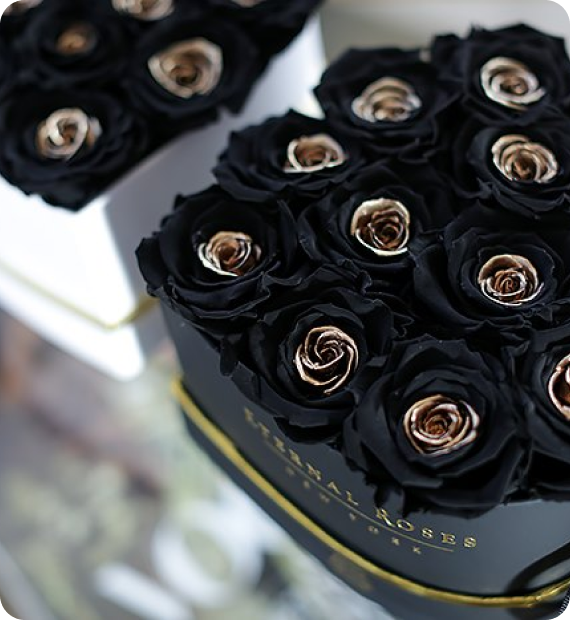 Special Occasion Roses