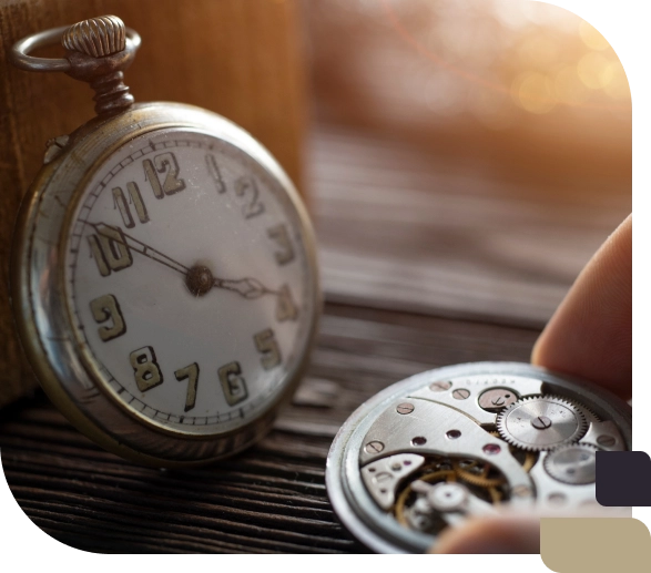expert watch repair