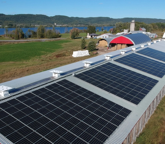 Solar Panel Installation Orleans